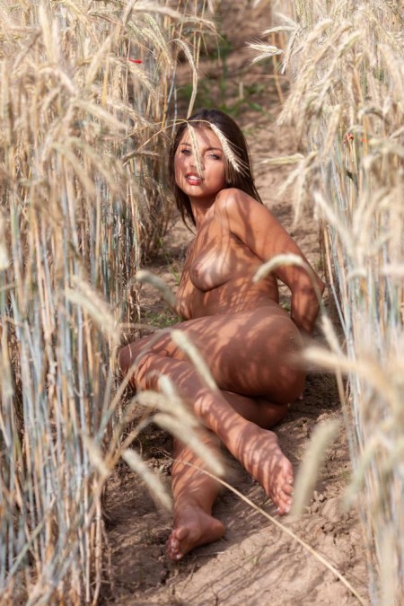На Пшеничном поле